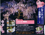 KANSAI 1週間, 2006 April11 / No.184